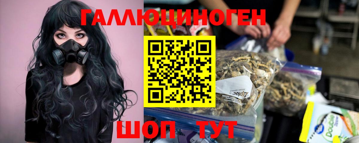 Сатка  Галлюциногенные грибы Psilocybine cubensis  Вход с VPN  Псилоцибиновые грибы мухоморы 
