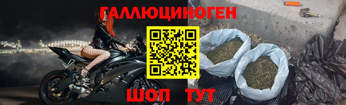 Галлюциногенные грибы GOLDEN TEACHER Сатка